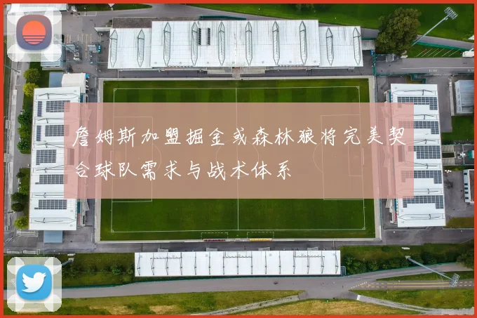 詹姆斯加盟掘金或森林狼将完美契合球队需求与战术体系