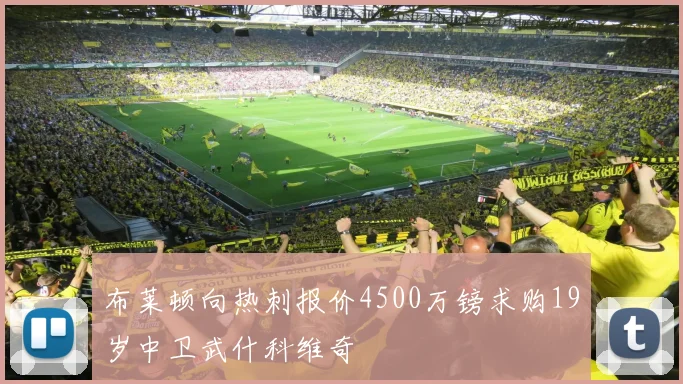 布莱顿向热刺报价4500万镑求购19岁中卫武什科维奇